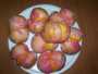 Pesche dolci di Sassari (Loulunes)