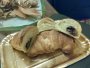 Croissant .2 (Zio Salsiccia)