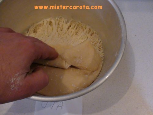Lievito madre con succo uva o miele
