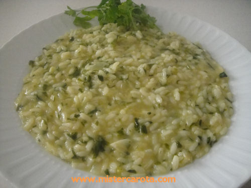 Risotto al curry e brodo di salmone